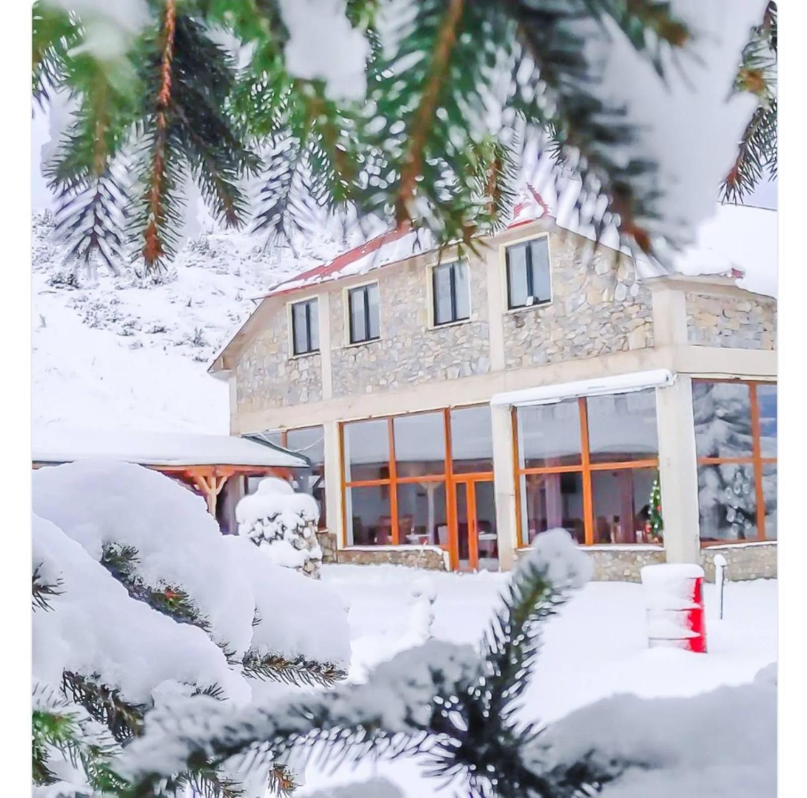 Hotel Victorian Heights Popova Shapka Esterno foto